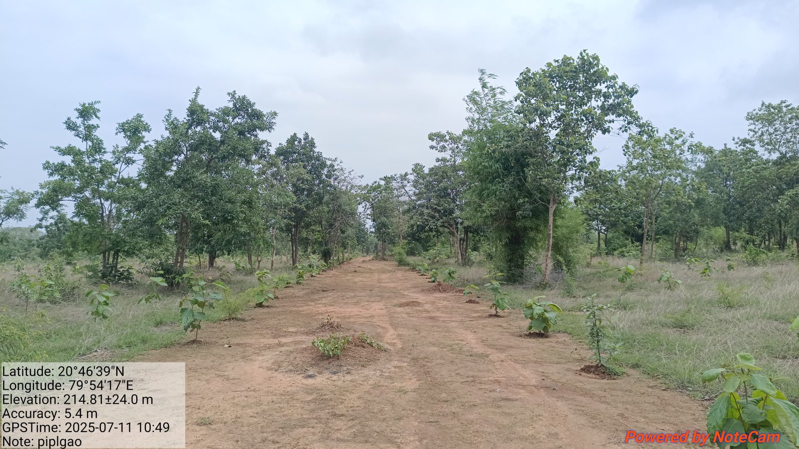 स्वातंत्र्यदिन उत्सव