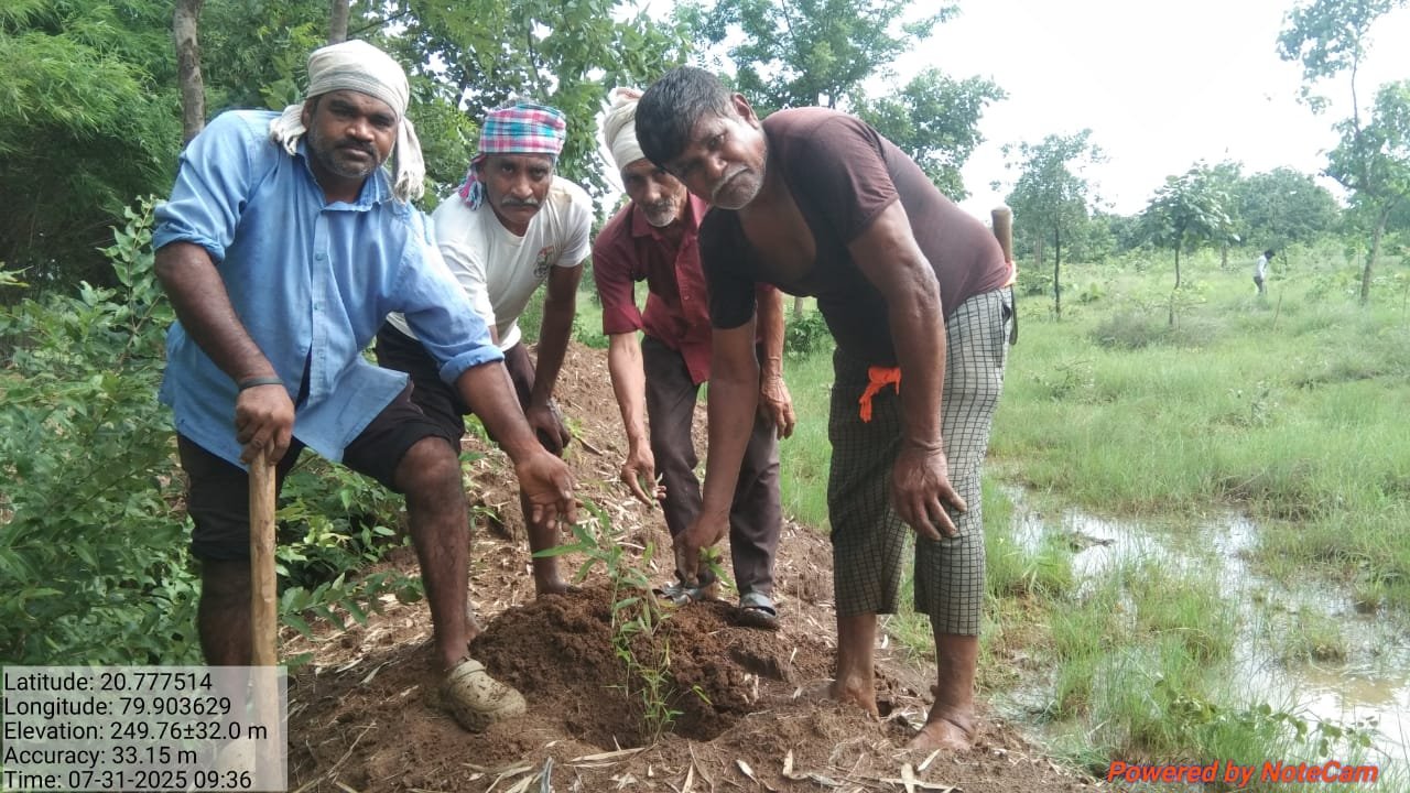 घनकचरा संकलन